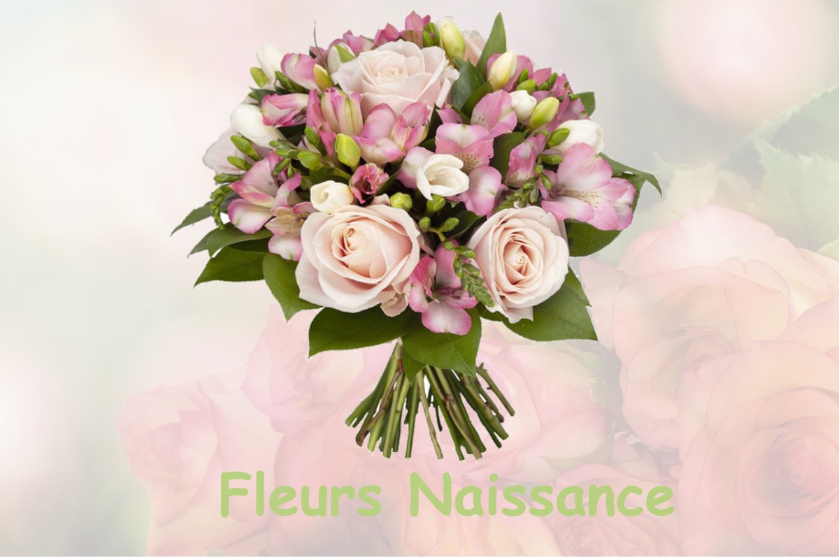 fleurs naissance SAINT-AUBIN-DU-THENNEY